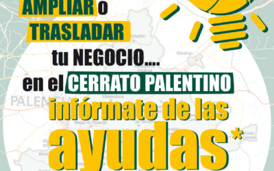 Ayudas y subvenciones respecto al Covid19 resumen ADRI Cerrato Palentino