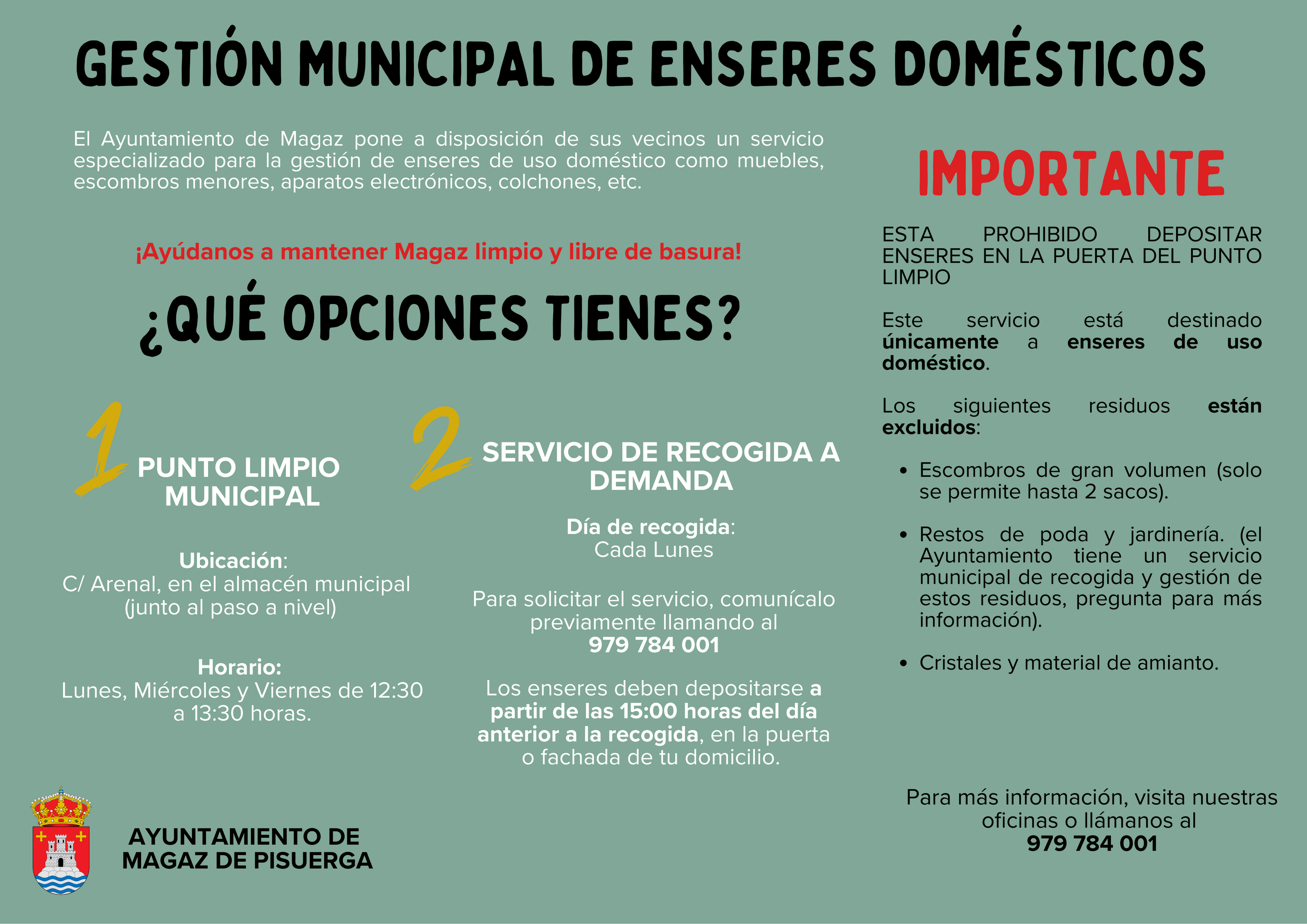 Gestión municipal de enseres domésticos