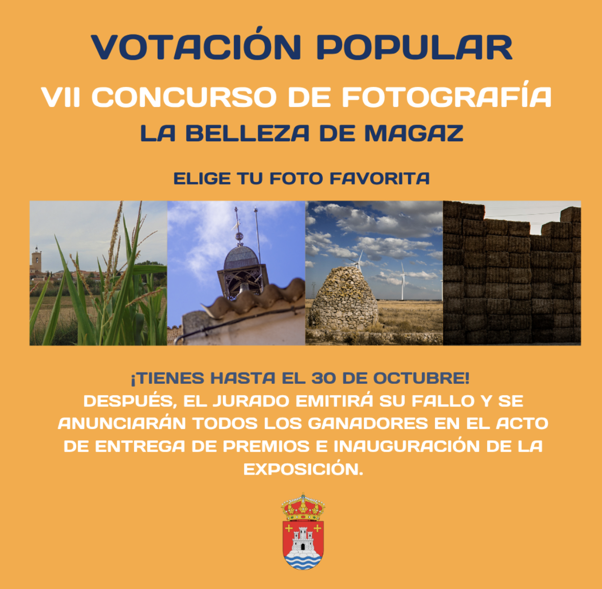 Votación – VII Concurso de fotografía (La belleza de Magaz)